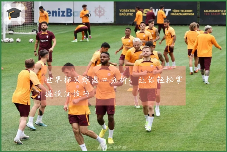世界杯买球盘口分析，让你轻松掌握投注技巧