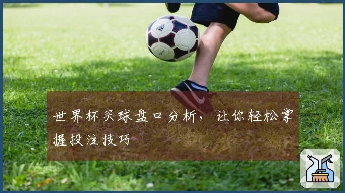 世界杯买球盘口分析，让你轻松掌握投注技巧