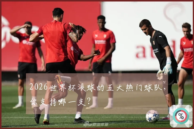 2026世界杯滚球的五大热门球队，你支持哪一支？