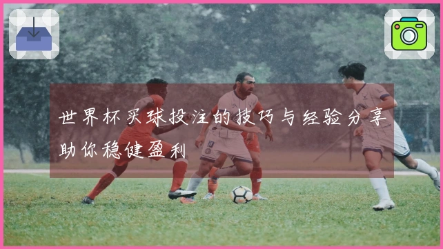 世界杯买球投注的技巧与经验分享助你稳健盈利