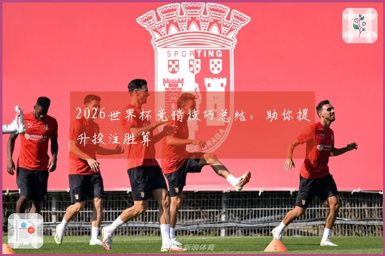 2026世界杯竞猜技巧总结，助你提升投注胜算